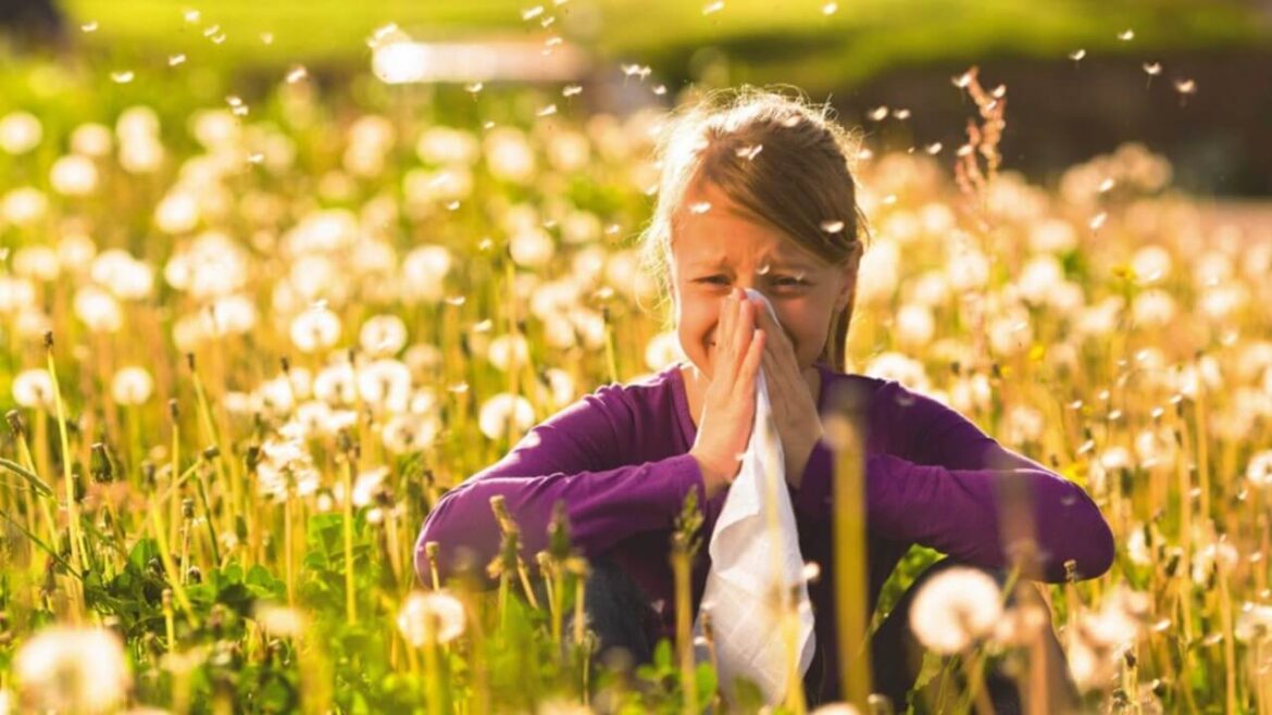 Erfolgreich eine Allergie behandeln Allergien lindern: So klappt es erfolgreich