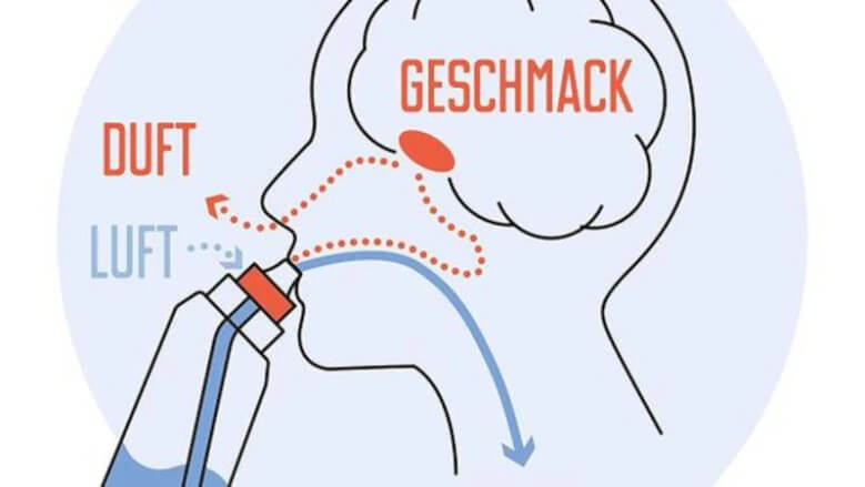 Air up Erfahrungen: So wird Dein Geschmackssinn ausgetrickst