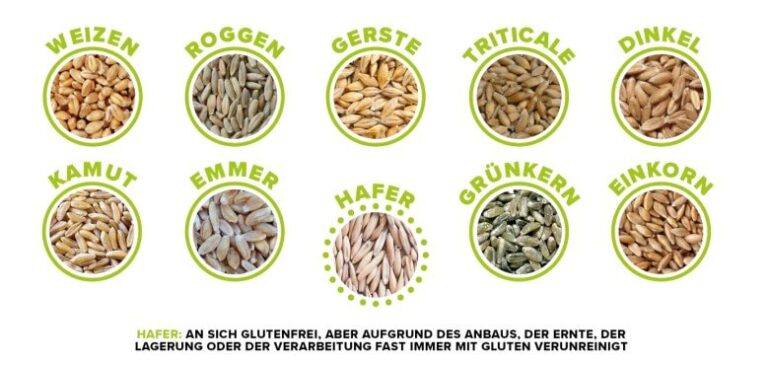 Was ist Gluten? Die Unverträglichkeit einfach erklärt