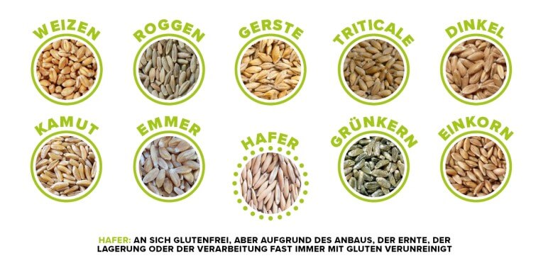 Was ist Gluten? Diese Getreidesorten enthalten das Proteingemisch