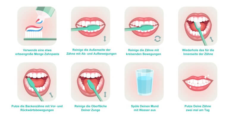 Zähne richtig putzen: Schritt für Schritt Anleitung