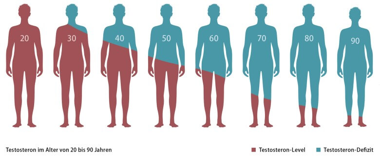 Testtosteron Mythen: Testosteronverlauf bei Männern in Abhängigkeit vom Alter