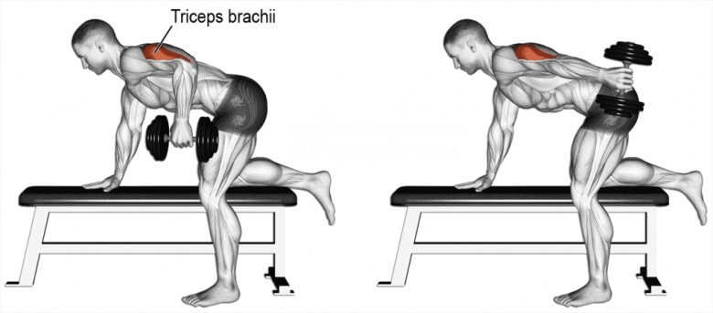 Trizepsübungen: Kickbacks