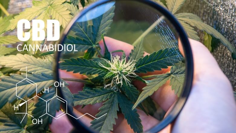 Einsatz von CBD in der Medizin